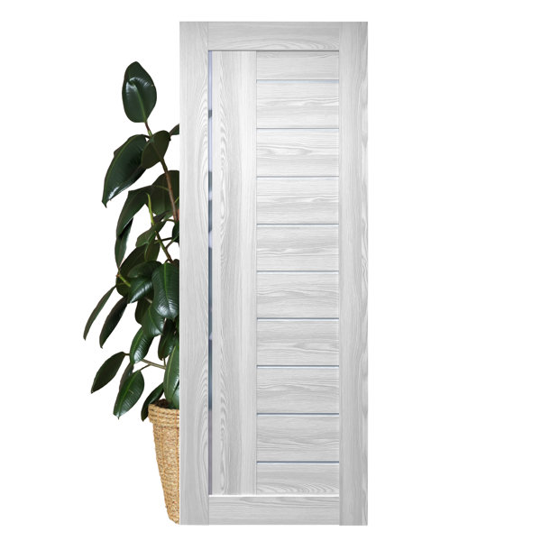 Valusso Design LLC Paneled Prefinished Frosted Glass Solid Core